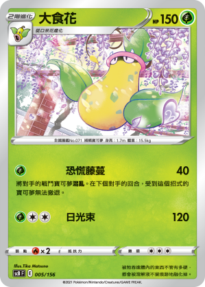 大食花