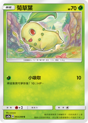 菊草葉