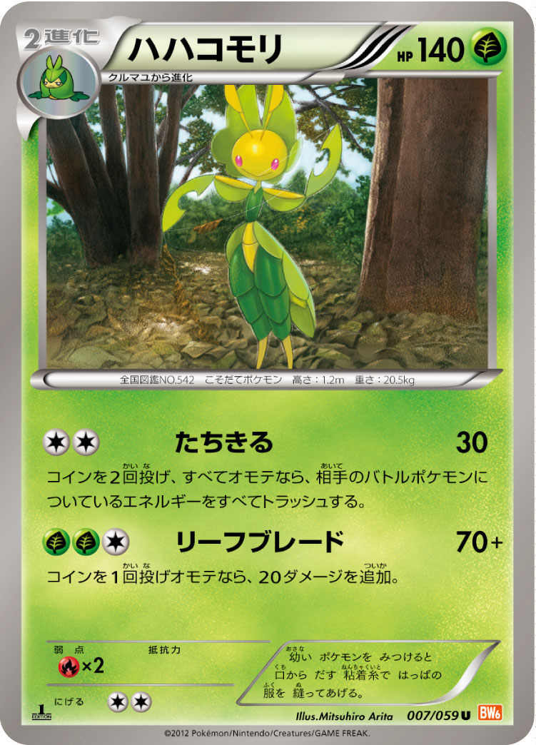ハハコモリ